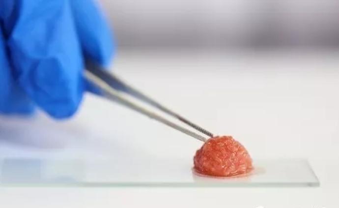 “中国第一块细胞培养肉”研究者：从研发到餐桌还有很长的路
