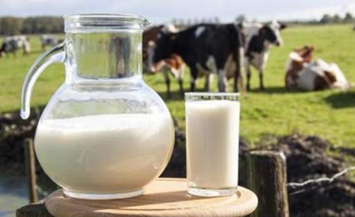 生鲜乳中国农垦乳业联盟团体标准发布：到厂温度不超6摄氏度