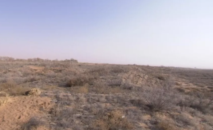 宁夏党委书记到中卫美利林区沙漠污染整治现场，听取进展报告