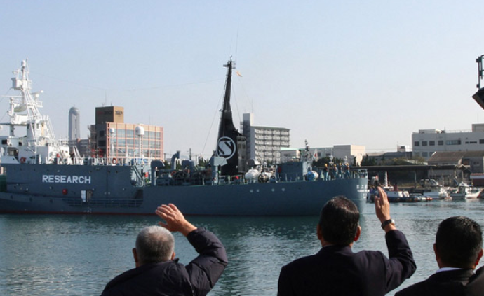 日本捕鲸船卸下“捕鲸炮”前往南极，称“只调查，不捕鲸”