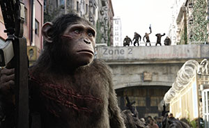 我们凭什么把黑猩猩作为拯救人类的实验品？