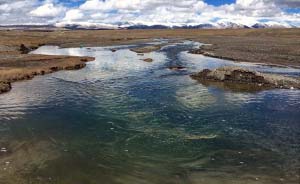 昆仑山口附近雪水河受油污污染，河中生物大量死亡