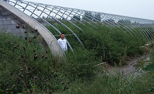 上百家施工队陷蔬菜大棚骗局，陕西华县三千亩良田变荒草地