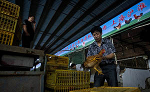 存重大火患且无法整改，上海浦西唯一活禽批发市场明年要搬了