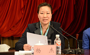 媒体误读，哈市妇联主席杨杰：条例中没有关于家暴的具体概念