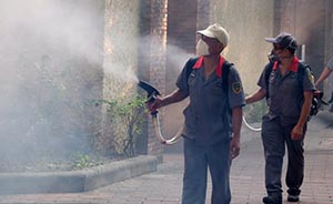 23省份今年报告超1.2万登革热病例，专家提醒国庆出行防蚊子