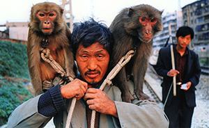 追踪|河南“新野猴戏”再起争议：是千年陋习还是文化遗产 