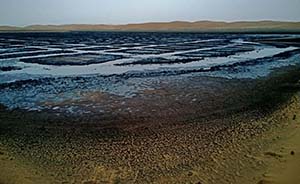 习近平批示内蒙古腾格里沙漠污染问题，当地紧急开会部署落实