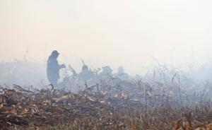 吉林农民烧秸秆被行政拘留，专家称应识别主要污染源应对雾霾