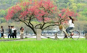 杭州多部门联合发环保倡议书，建议游客步行、骑车进西湖