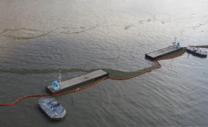 水葫芦入侵上海外滩：夏温秋暖致大规模爆发，已打捞32万吨