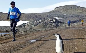 南极马拉松上了新闻联播，8万报名费就是这么任性