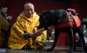 上海首办盲人和导盲犬参与公益时装秀，收入资助精神障碍患者