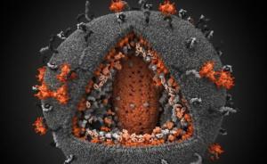 “基因组剪辑”技术，能永久治愈艾滋病？