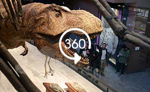 360°全景|揭秘新上海自然博物馆，来听听霸王龙的嘶吼