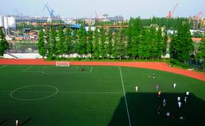 中国十年只增加7100块足球场，连排球场增量都是它的四倍