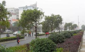 湖南耒阳号召全民捐款创园林城市，设定处级科级干部捐树直径