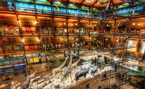华盛顿的这家博物馆馆藏超1.3亿件，熊孩子可以在这里考古