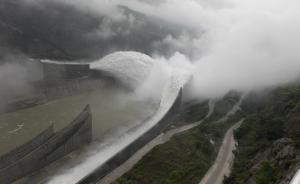 三峡下属水电站泄洪致死大量鱼类，渔政官员称损失或超亿元