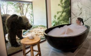 跟熊一起洗澡什么感觉？去澳大利亚一家动物园旅馆练练胆吧