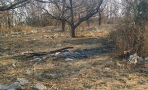 河北保定11岁女孩遇害，被发现时双手被绑全身赤裸遭到焚烧