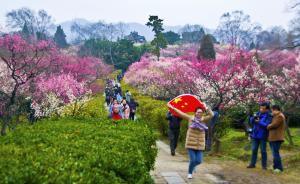 烟花爆竹全面禁放的效果：南京迎十年来最好春节空气质量