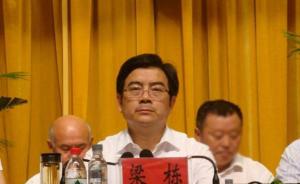 利辛县委原书记梁栋履新阜阳副市长，官方称其一提拔就有举报