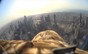 真的“鸟瞰”！“鹰眼”千米高空俯瞰迪拜，为环保破纪录