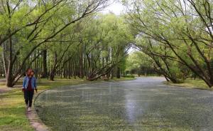 上海第二次湿地资源调查结果：近10年人工湿地增加近18倍