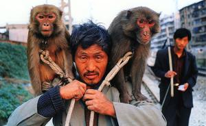 镜头中的猴子江湖：用12年跟拍中国最后的耍猴人