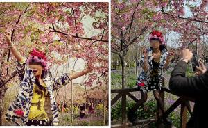 直击|上海顾村樱花节：为了朋友圈的照片这么拼，真的好吗？