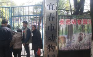 江西宜春“老虎伤人致死动物园”被停业整顿