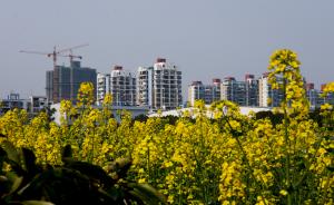 3月百城房价同比跌幅扩大，杭州重庆比去年降了10%