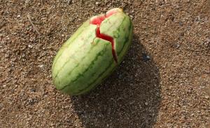 吃西瓜会因残留农药中毒？专家：概率小，但高毒农药渗透性强