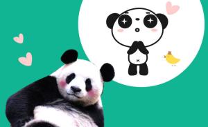 中国网络电视台首播大熊猫自然交配实况，普及熊猫繁育的不易