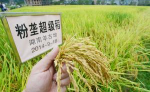 人民日报：超级稻的冠名权在农业部，有些地方存在乱用滥用