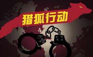 “猎狐2015”传捷报：启动半月，抓获20名外逃经济嫌犯