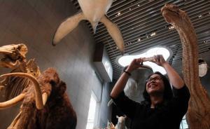 直击|探营上海自然博物馆新馆，大恐龙们静候4月20日开放