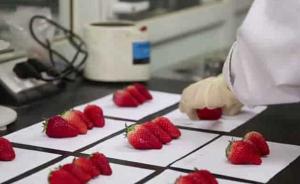 央视记者北京随机购买8份草莓，均检出可致癌农药残留