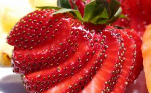 专项检查草莓违法违规使用农药，北京派调查组急赴草莓主产区