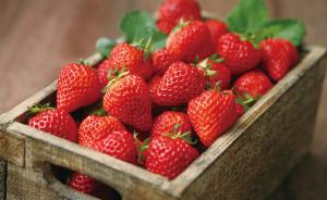 草莓真的农药超标了？“长期食用可能致癌是无聊的文字游戏”