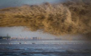 黄渤海50%以上滩涂已消失，纪录短片直击海边上的生态红线