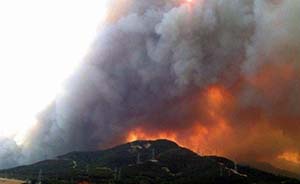 山东威海罕见山火，两千人参与扑救