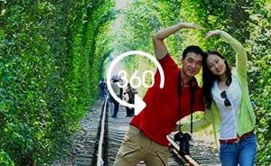 360°全景|树众众众树，南京爱情隧道“520”你还去吗