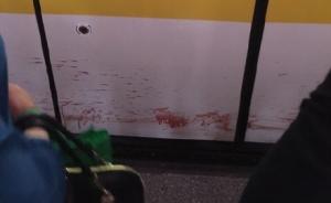 上海一男子在列车进站时跳下地铁站台身亡，致部分区段限速
