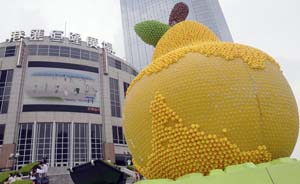 上海某商场促销活动,1.5万只橡皮鸭展出一周险被拔光