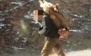 贺兰山警方破获一起特大非法猎杀岩羊案，调查4年抓获6人