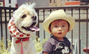 新井一二三专栏：日本LOSS一代——从宠物、《海女》到母亲