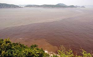 浙江近岸过半海水为劣四类，杭州湾和嘉兴海水极差