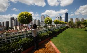 上海拟对公共建筑强制实施屋顶绿化，住宅及工业建筑未纳入